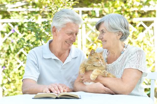 Pet Therapy for the Elderly: How Animal Companions Support Wellbeing, Cherished Companions