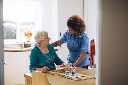 What Types of Home Care Services are There?, Cherished Companions