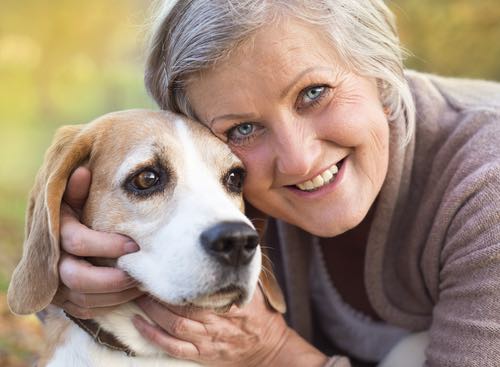 Pet Therapy for the Elderly: How Animal Companions Support Wellbeing